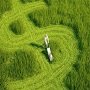 Как создать свой агробизнес