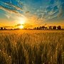 Самый длинный день в году