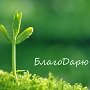 А Вы умеете с благодарностью творить чудеса?